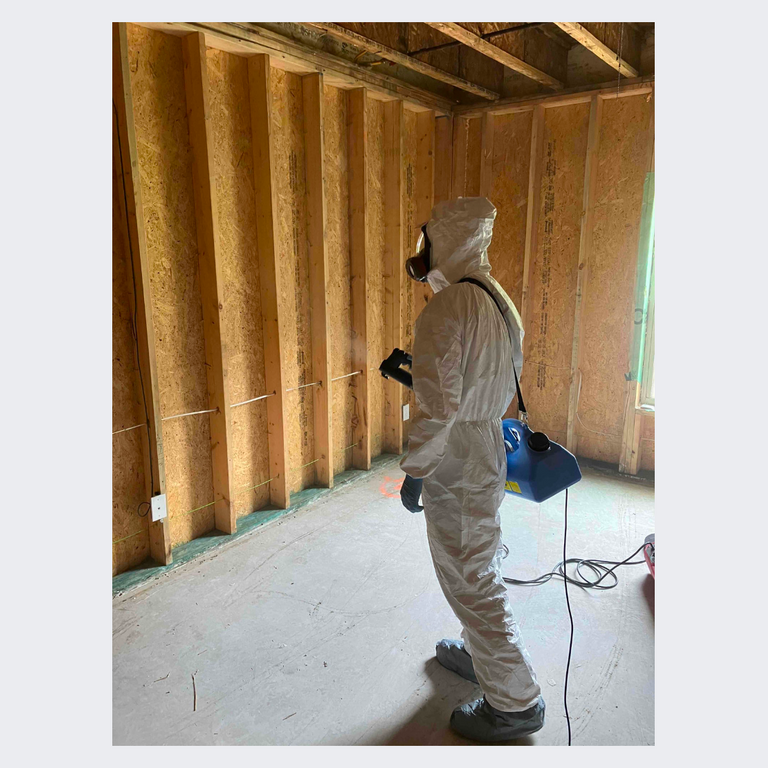 Disinfecting after demolition to ensure airborne mold